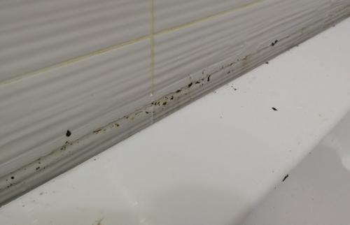 Как заменить герметик в ванной. Замена герметика вокруг ванны