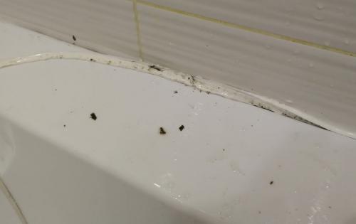 Как заменить герметик в ванной. Замена герметика вокруг ванны