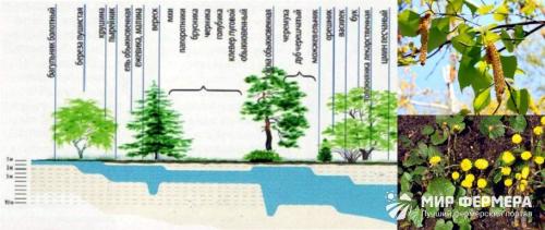 Как определить, где копать колодец. Как выбрать место для колодца
