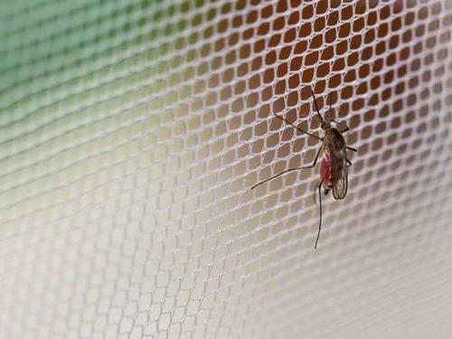 Антимоскитная сетка на дверь на магнитах. Народная мудрость и научно-технический прогресс – приятное сочетание