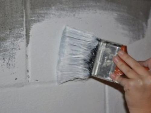 Проникающая грунтовка для стен. Лучшие грунтовки глубокого проникновения 12