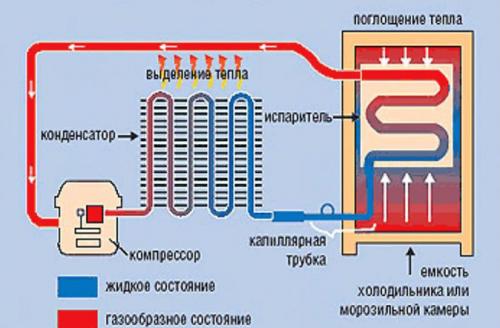Как сделать холодную комнату в частном доме для хранения продуктов. Холодильная камера своими руками: способы, отличающиеся кардинально