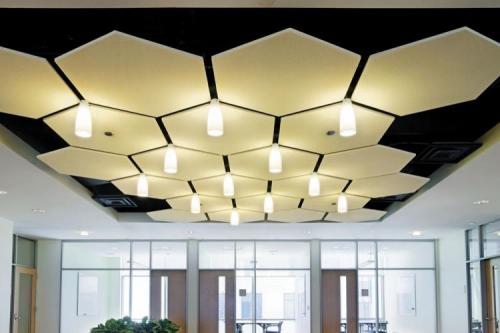 Образцы подвесных потолков. Подвесные потолки: 100 идей дизайна (фото)