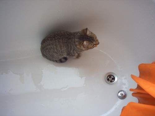 Восстановление ванны своими руками. Холодная эмалировка ванны 05 Восстановление ванны своими руками. Холодная эмалировка ванны 05