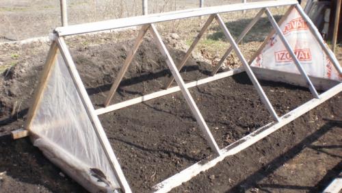 Парник своими руками самые лучшие проекты. Обзор видов парников: особенности и конструкция