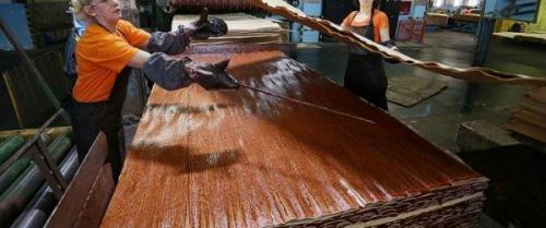 Виды фанеры для стен. Виды, сорта фанерных листов