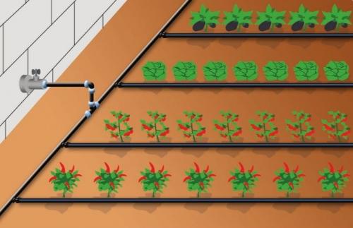 Автополив своими руками на даче в теплице. Автополив в теплице: состав системы и виды автополива
