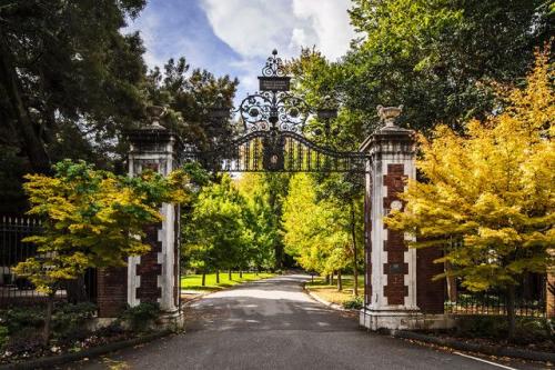 Кирпич для заборных столбов декоративный. Как выбрать кирпич