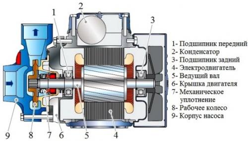 Насос для воды. Виды водяных насосов