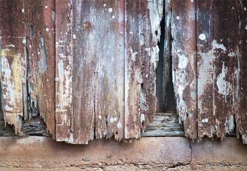 Чем красить дерево на улице надолго. Чем лучше покрасить забор из дерева: лаки, антисептики, пропитки