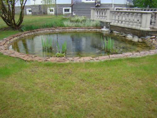 Как сделать пруд своими руками на участке небольшой декоративный. Пруд своими руками — фото лучших вариантов оформления. Виды конструкций, формы и размеры + простой мастер-класс по созданию своими руками