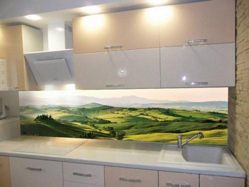 Панели на стене на кухне. Стеновые панели для кухни: виды панелей, размеры, варианты применения для отделки стен (обзор фото новинок дизайна)