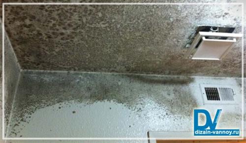 Как избавиться от влажности в ванной комнате. Сырость в ванной комнате, что делать?