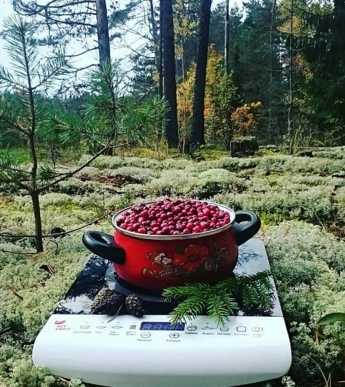 Какую посуду можно использовать на индукционной плите. Адаптеры для посуды 03 Какую посуду можно использовать на индукционной плите. Адаптеры для посуды 03