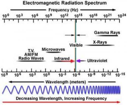 Свет для аквариума с растениями. Выбор ламп для освещения аквариума 14 Свет для аквариума с растениями. Выбор ламп для освещения аквариума 14