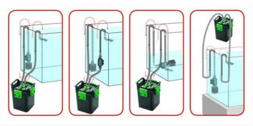 Как правильно поставить фильтр в аквариуме. Как правильно установить фильтр в аквариум