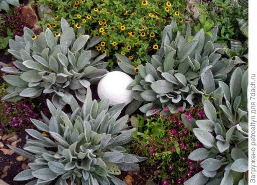 Как правильно высушивать фигуры из цемента. Секрет изготовления садовых фигурок своими руками