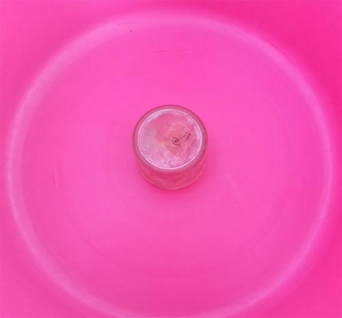 Вазон своими руками из цемента. Горшки для цветов из цемента и ткани (тряпки) своими руками, фото