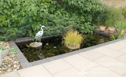 Чем чистить пруд на садовом участке. Как очистить пруд на дачном участке