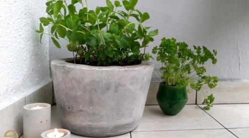 Вазон своими руками из цемента. Горшки для цветов из цемента и ткани (тряпки) своими руками, фото