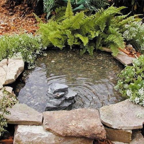 Пруд на садовом участке. Пруд на даче —, как спроектировать, построить и украсить пруд для сада и дачного участка 22 Пруд на садовом участке. Пруд на даче —, как спроектировать, построить и украсить пруд для сада и дачного участка 22