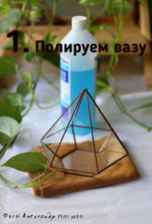 Суккуленты в аквариуме своими руками. – Что нам понадобится для наполнения флорариума?