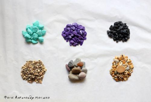 Суккуленты в аквариуме своими руками. – Что нам понадобится для наполнения флорариума?