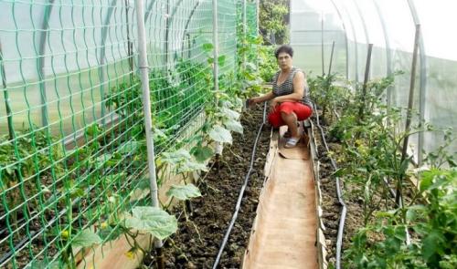 Как установить сетку. Спосо.  На петли 09