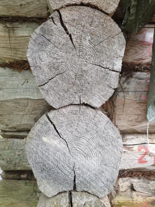 Серьезное дело: как красить деревянный дом снаружи правильно 21