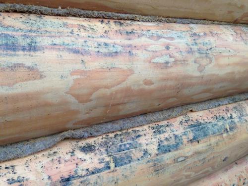 Серьезное дело: как красить деревянный дом снаружи правильно 19