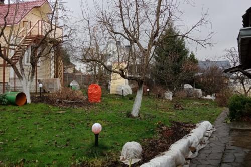 Многолетние цветы на дачу без выкапывания осенью. Цветники: как правильно обрезать и укрыть на зиму декоративные растения?