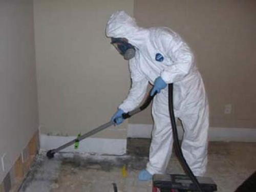 Эффективное средство от плесени и грибка на стенах в квартире. Средства (современные и народные), призванные удалить грибок со стен