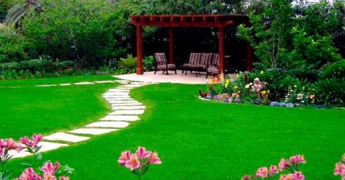 Какой газон лучше для частного дома. Какой газон лучше посадить на даче: описание и виды трав