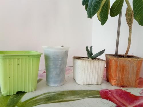 Как сделать своими руками кашпо из цемента. Как делать цементные горшки