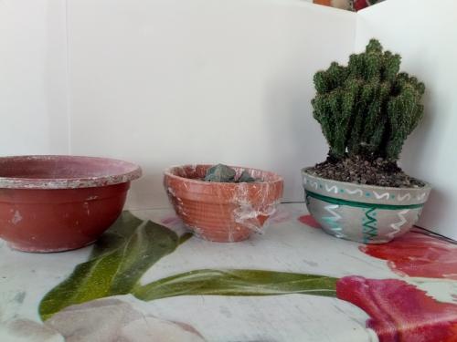 Как сделать своими руками кашпо из цемента. Как делать цементные горшки