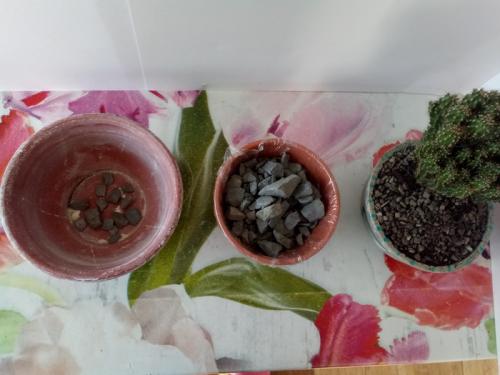 Как сделать своими руками кашпо из цемента. Как делать цементные горшки