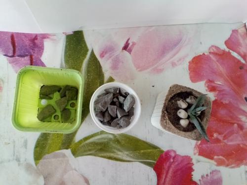 Как сделать своими руками кашпо из цемента. Как делать цементные горшки