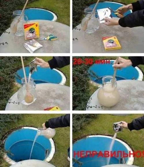 Бактерии для туалета. Виды бактерий 01 Бактерии для туалета. Виды бактерий 01