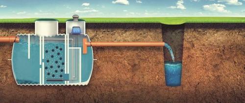 Бактерии для туалета. Виды бактерий 04 Бактерии для туалета. Виды бактерий 04