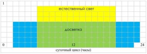 Как обеспечить достаточное освещение для растений в каркасной теплице из поликарбоната. Когда и сколько времени нужно освещать растения