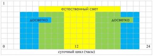 Как правильно ухаживать за каркасной теплицей из поликарбоната