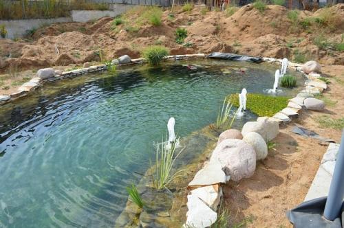 Как сделать водоем на участке. Выбор места расположения