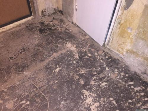 Чем делать стяжку пола в квартире. Стяжка пола самостоятельно: как правильно подготовить пол и как его залить