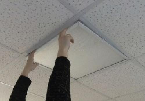 Рассеиватель для светильника. Что нужно знать