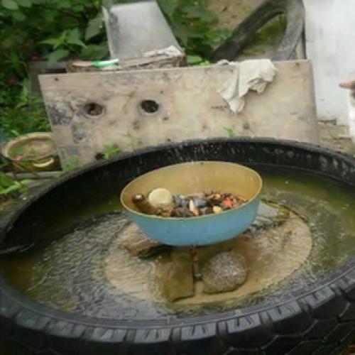 Сделать фонтан на даче своими руками. Фонтан на даче своими руками 17 Сделать фонтан на даче своими руками. Фонтан на даче своими руками 17