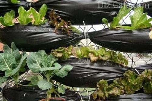 Ленивые грядки своими руками. Как сделать умные грядки своими руками 02