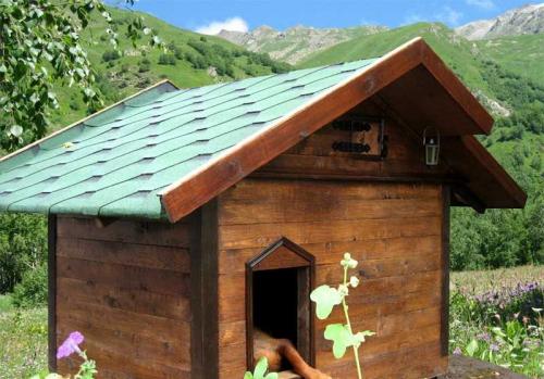 Варианты собачьих будок. Будка для собаки своими руками: мастер-класс по постройке лучшего дома для питомцев (95 фото)