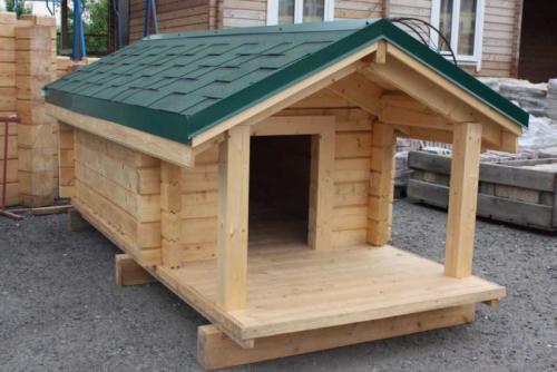 Варианты собачьих будок. Будка для собаки своими руками: мастер-класс по постройке лучшего дома для питомцев (95 фото)