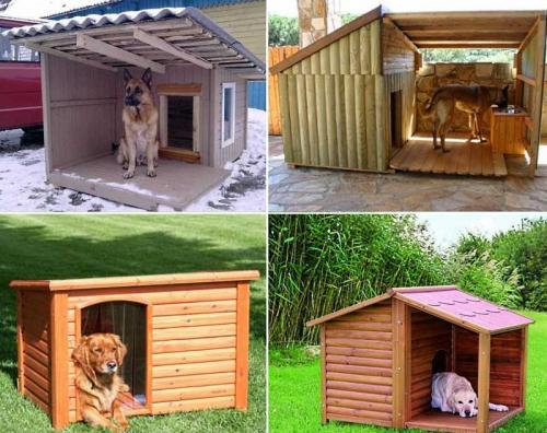 Варианты собачьих будок. Будка для собаки своими руками: мастер-класс по постройке лучшего дома для питомцев (95 фото)