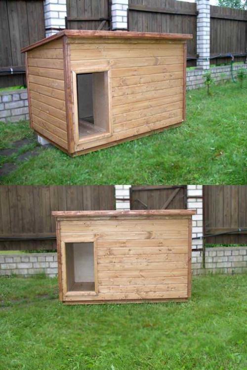 Варианты собачьих будок. Будка для собаки своими руками: мастер-класс по постройке лучшего дома для питомцев (95 фото)
